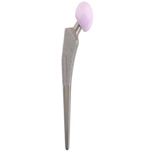 ECOFIT® hip stem